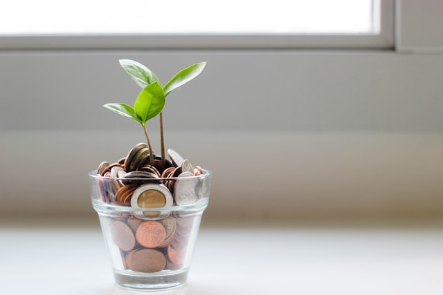 Audit Readiness: How Businesses Can Prepare for a Smoother Audit Process